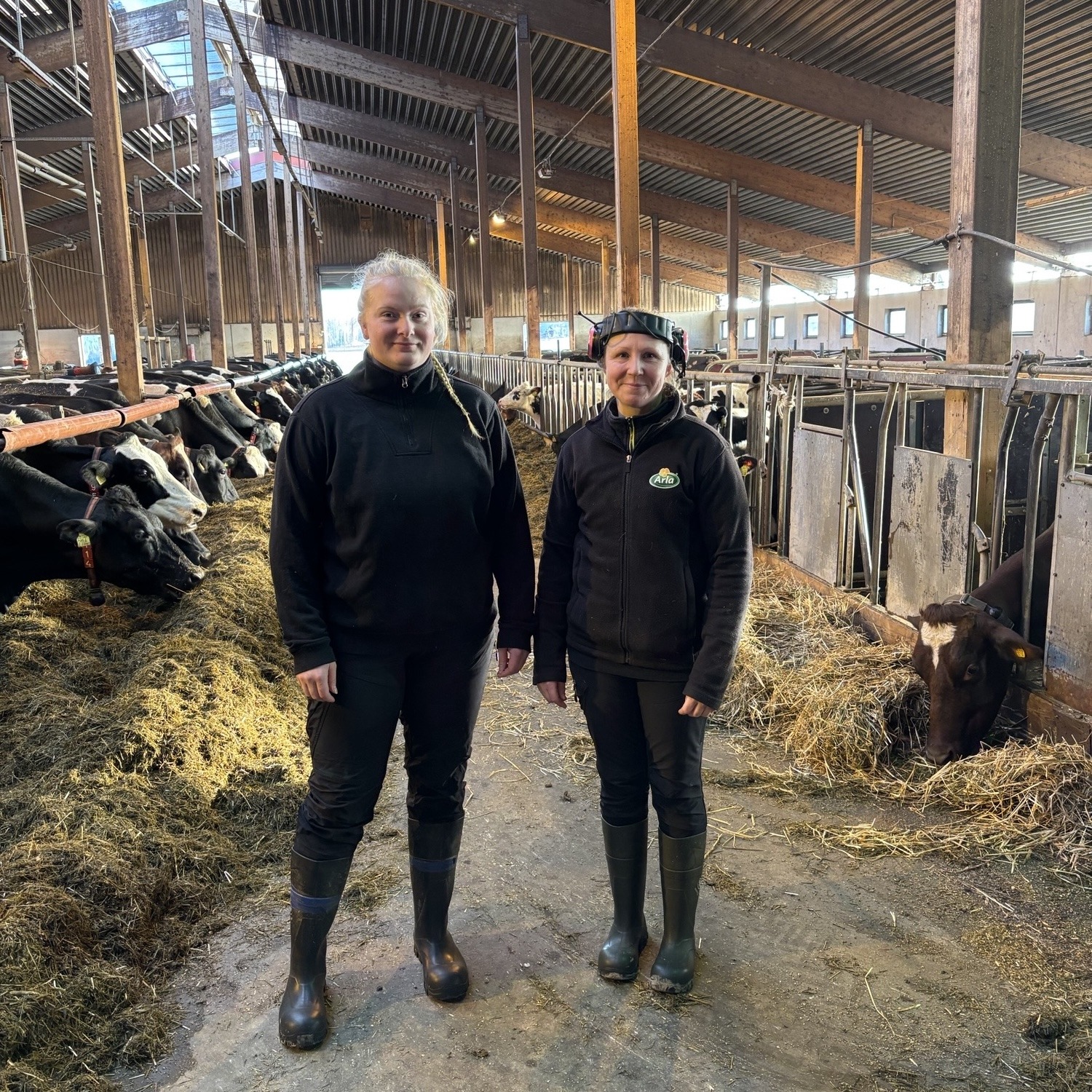 Koldemo_kvadrat_20241108