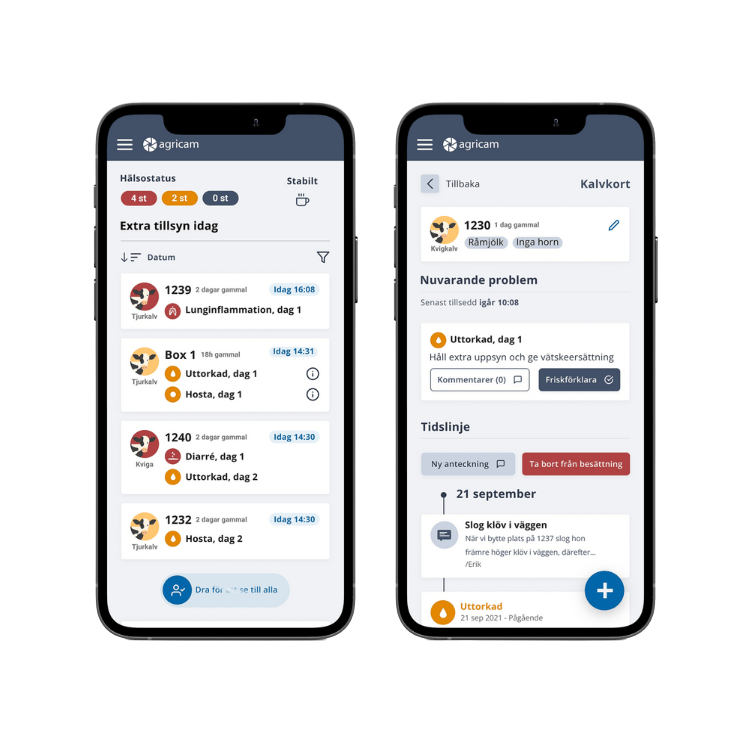 Kalvkoll applikation för kalvhälsa