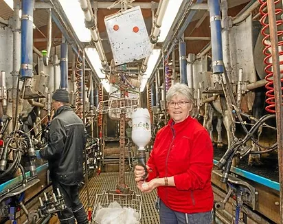 Eva Olsson Bergs Säteri använder Agricam liniment